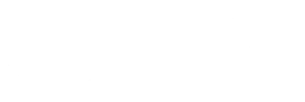Timeless skin & Wellness logo