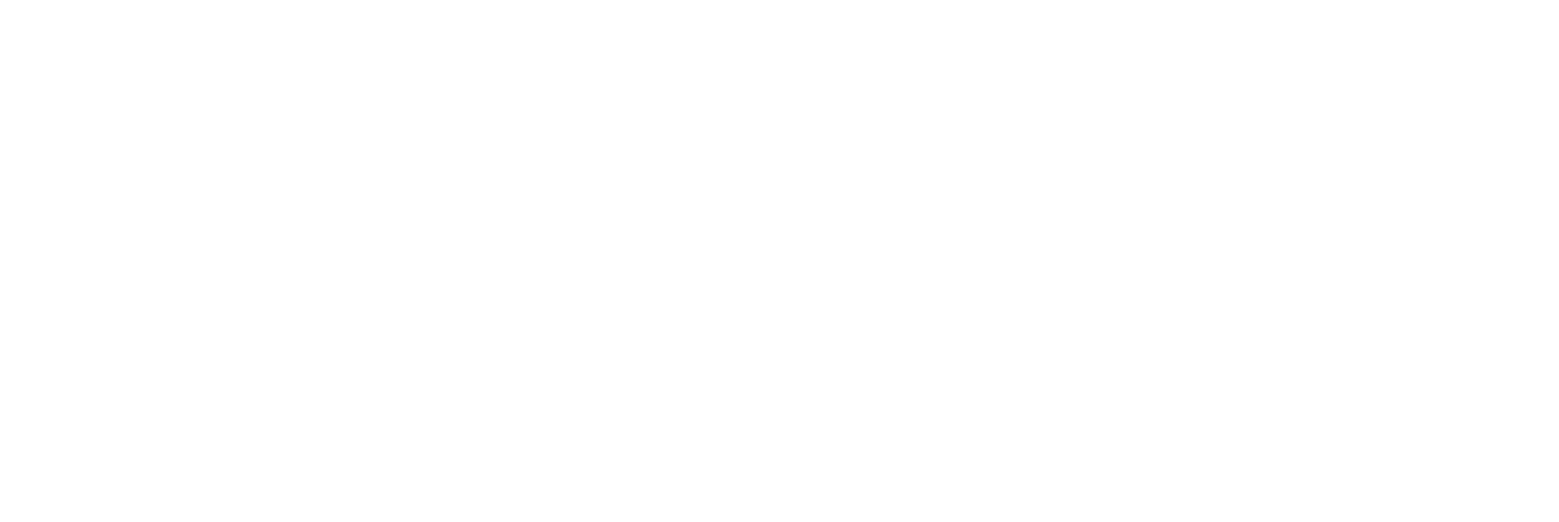 Timeless skin & Wellness logo